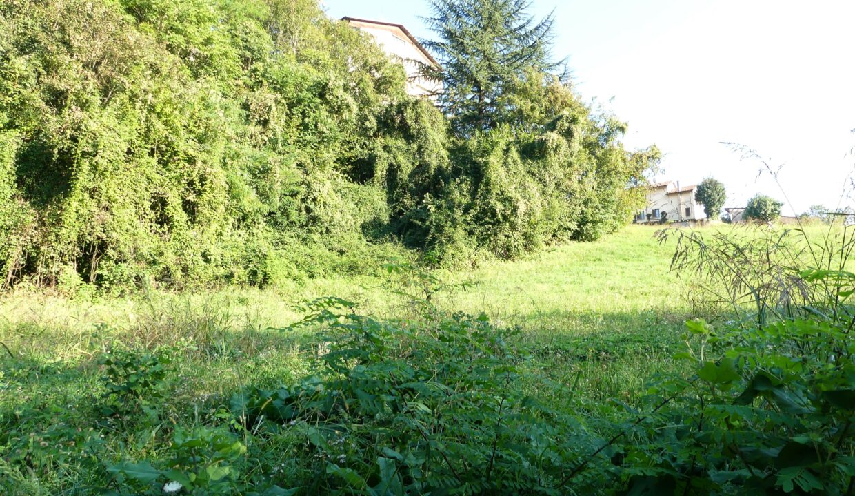 5 - panorama e giardino (14)