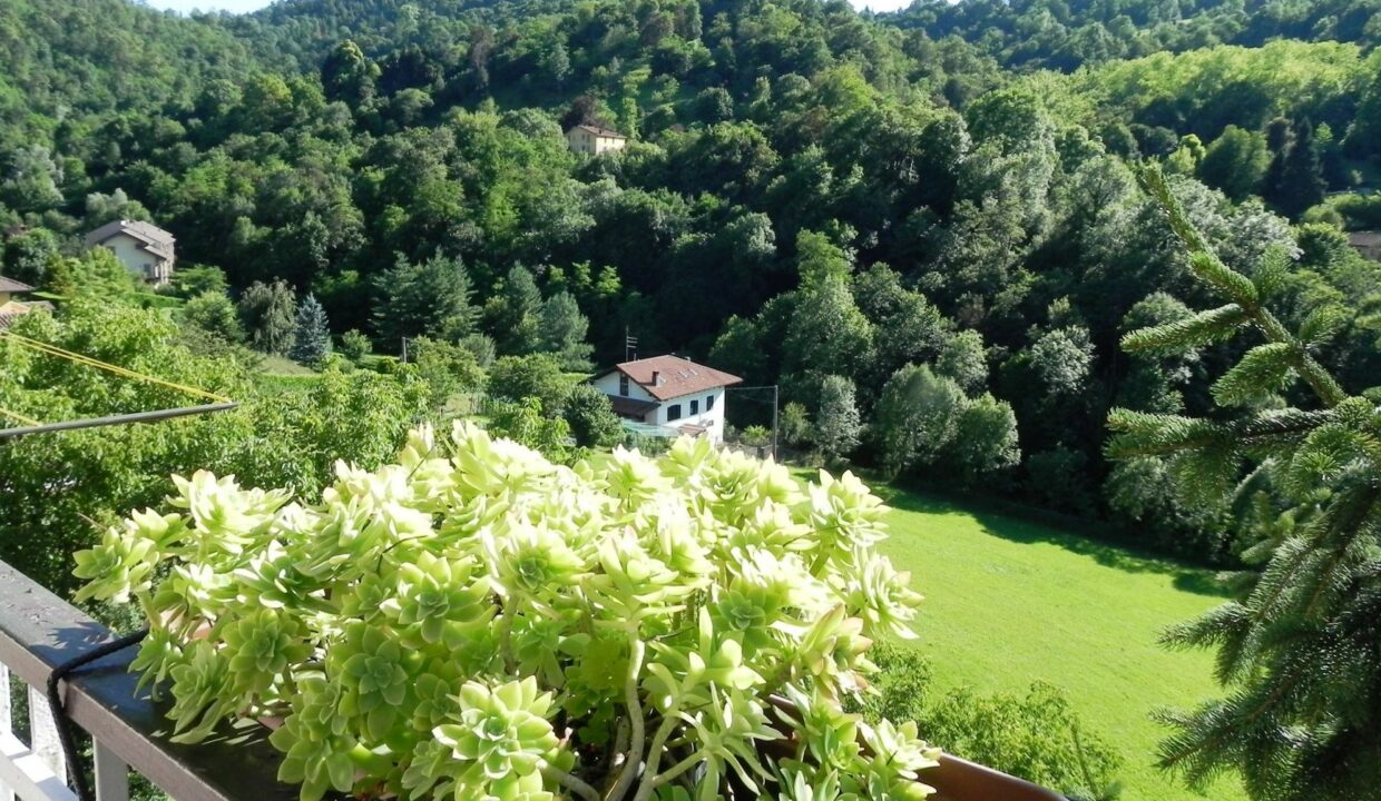 5 - panorama e giardino (8)